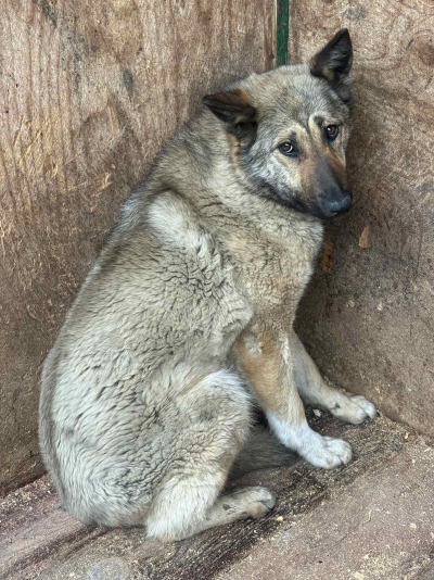 Зиминский район 18/24