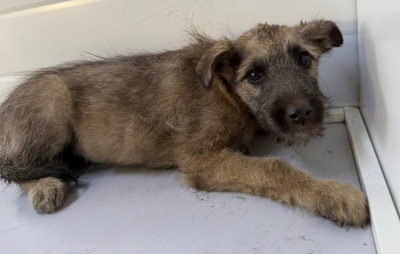 Иркутск 844/25