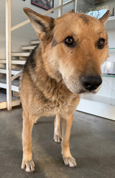 Иркутск 845/25