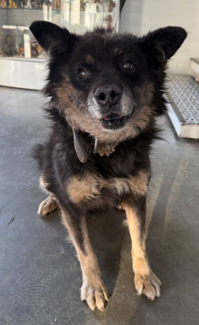 Иркутск 846/25