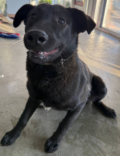 Иркутск 847/25