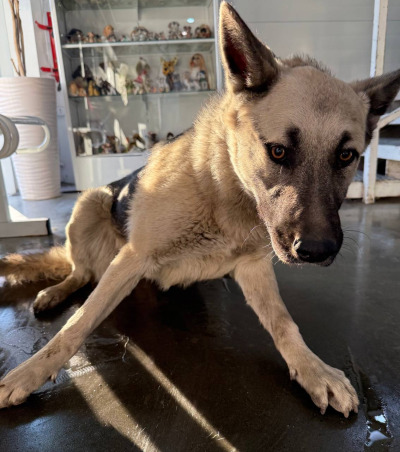 Иркутск 848/25