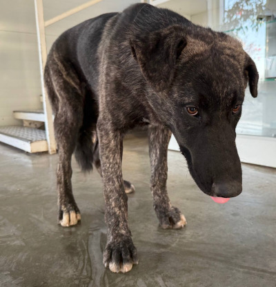 Иркутск 849/25