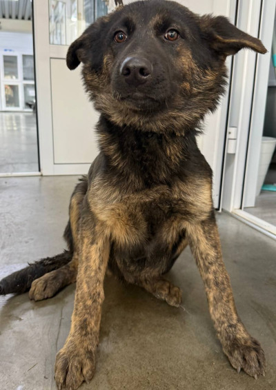 Иркутск 850/25