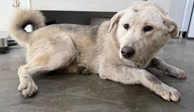 Иркутск 851/25