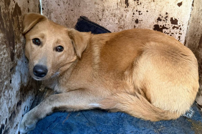 Иркутск 852/25