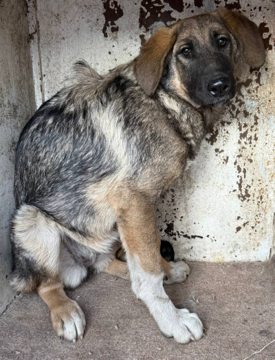 Иркутск 853/25