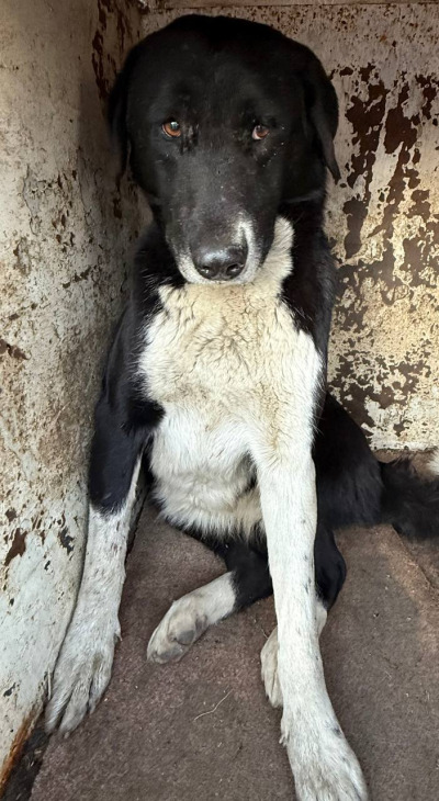 Иркутск 854/25