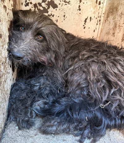 Иркутск 855/25