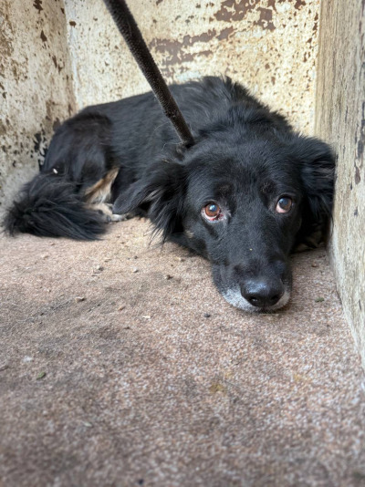 Иркутск 856/25