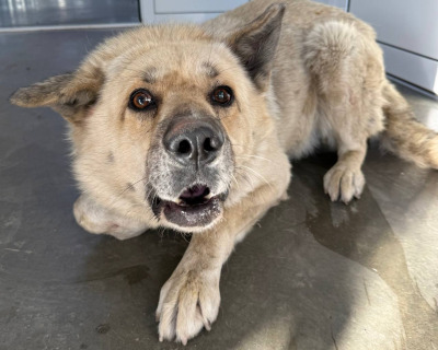 Иркутск 857\25