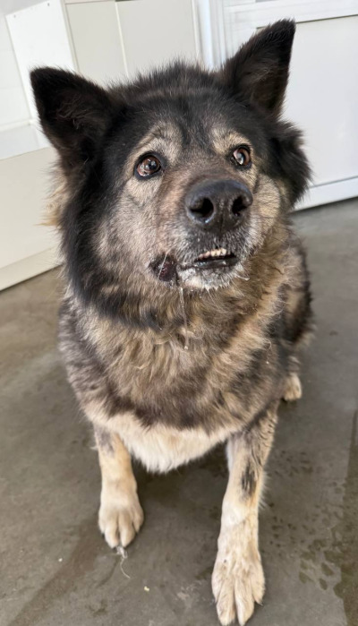 Иркутск 858\25