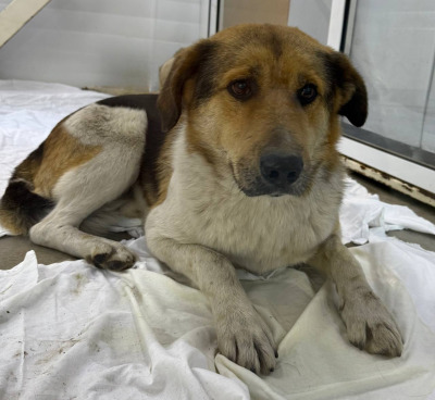 Иркутск 859\25