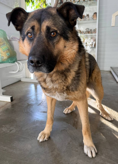 Иркутск 860\25