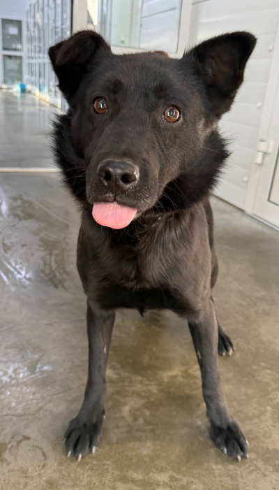 Иркутск 861\25