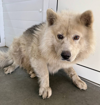 Иркутск 862\25