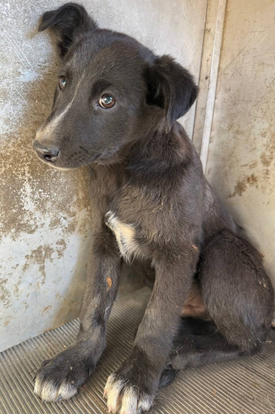 Иркутск 545/25