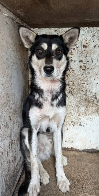 Иркутск 546/25