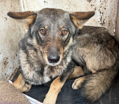 Иркутск 547/25