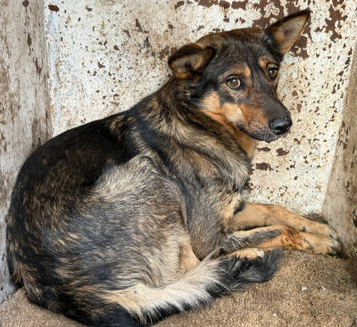 Иркутск 548/25