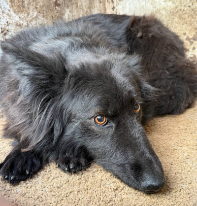 Иркутск 549/25