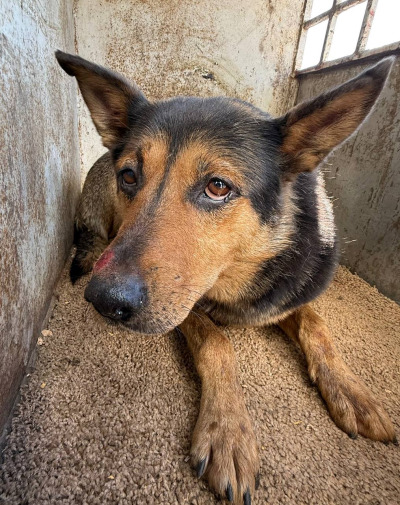 Иркутск 550/25