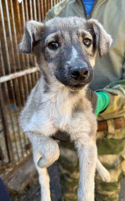 Иркутск 551/25