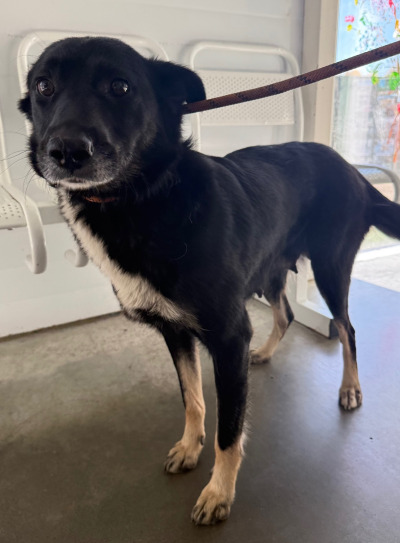 Иркутск 552/25