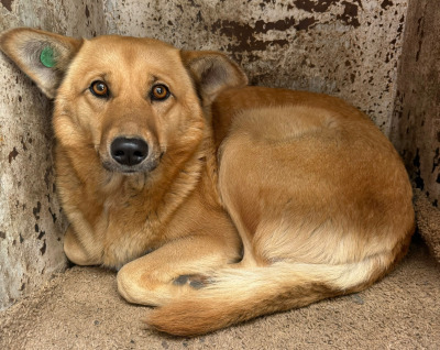 Иркутск 553/25