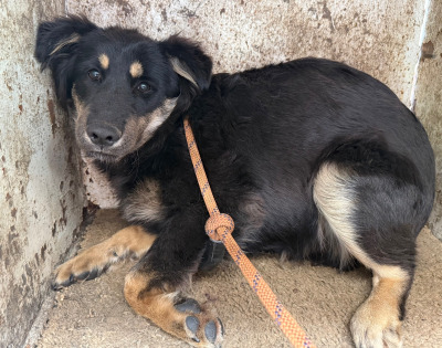 Иркутск 554/25