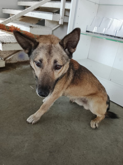 Иркутск 555/25