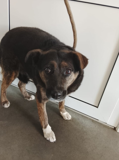 Иркутск 556/25