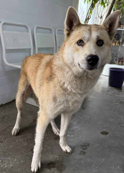 Иркутск 557/25