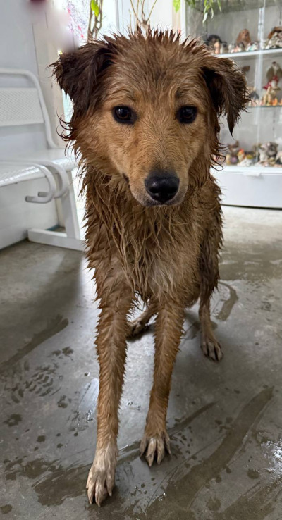 Иркутск 558/25