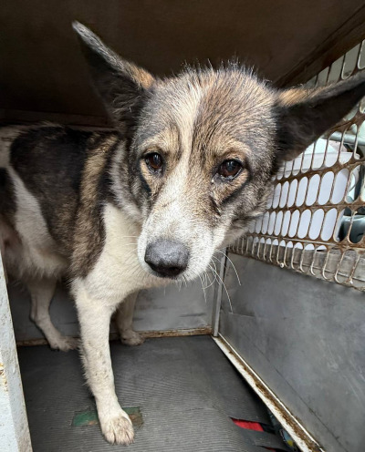 Иркутск 559/25