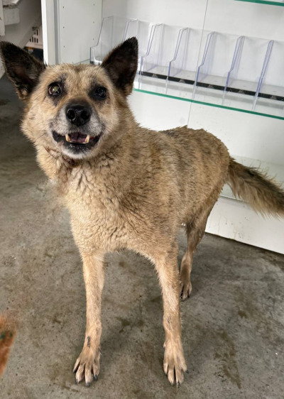 Иркутск 560/25