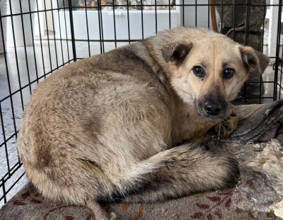 Иркутск 561/25