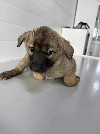 Иркутск 562/25