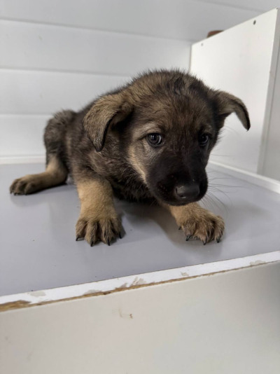 Иркутск 563/25