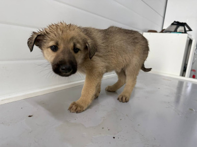 Иркутск 564/25