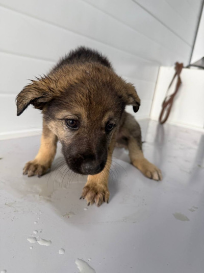 Иркутск 565/25