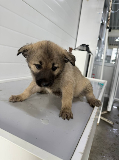 Иркутск 566/25