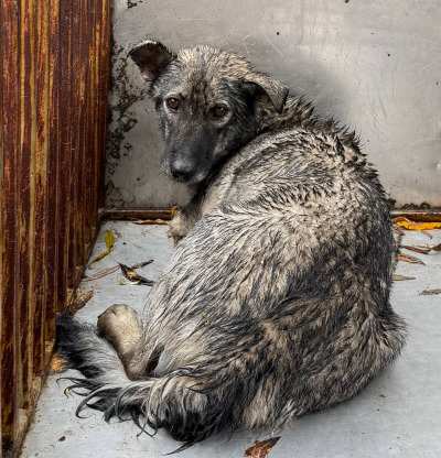 Иркутск 567/25