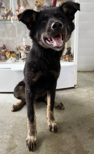 Иркутск 568/25