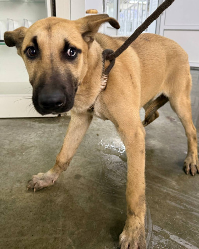 Иркутск 569/25