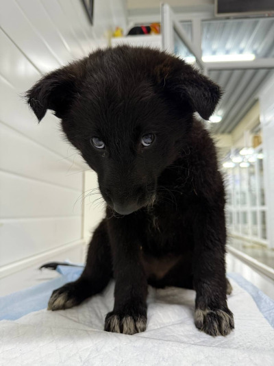 Иркутск 570/25