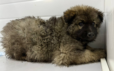 Иркутск 571/25