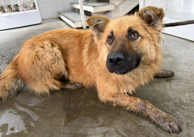 Иркутск 572/25