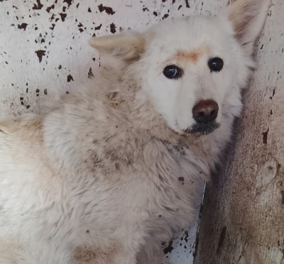 Иркутск 574/25