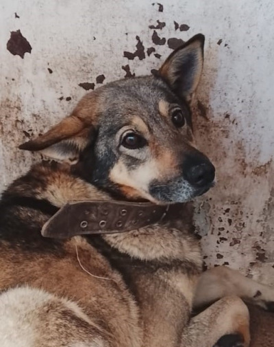 Иркутск 575/25